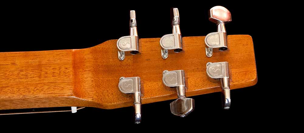 WRS Resonator guitar head-back