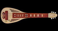 Deco Slide elektrische lapsteel gitaar