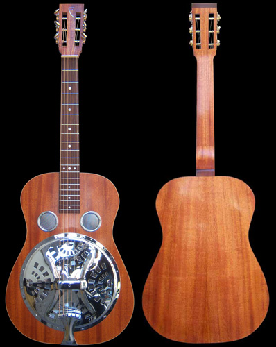 nvs resonator gitaar overzicht